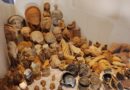 Gli ex voto per la dea Feronia